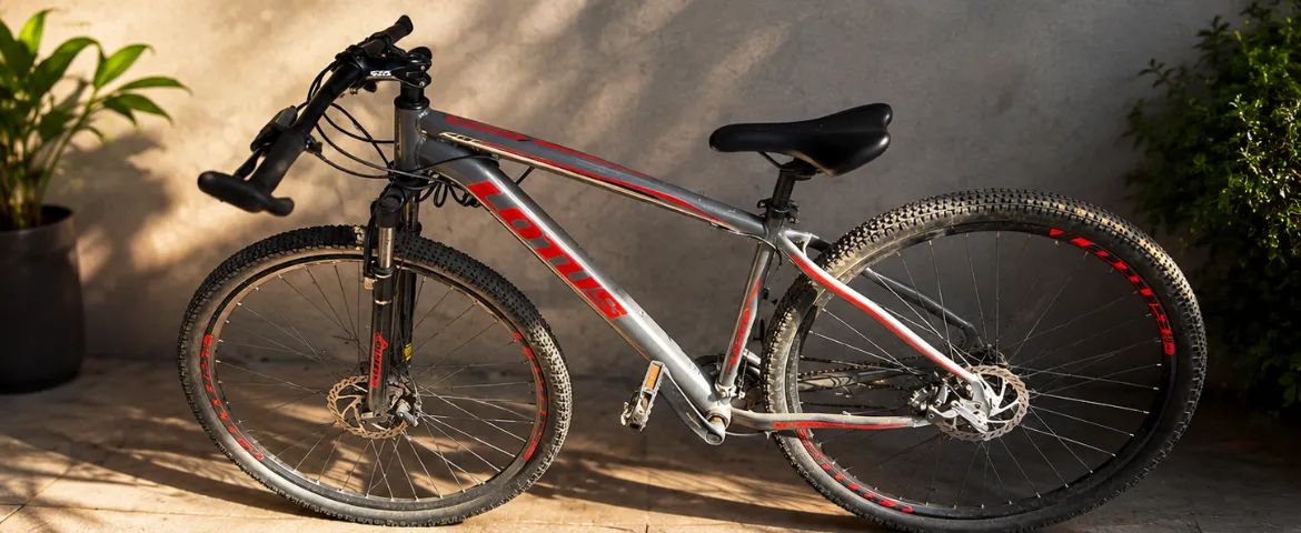 Bicicleta MTB Lotus Aro 29 (Anápolis) - Foto 4