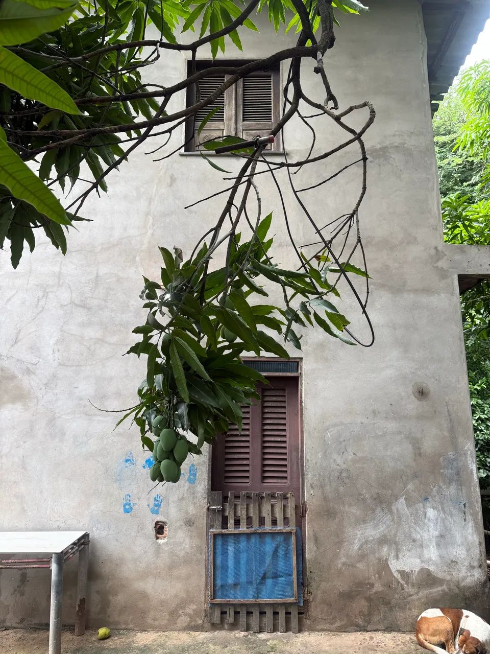 07- CASA NA AURORA - Foto 3