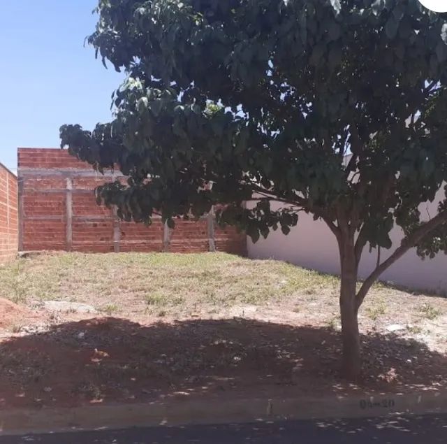 Foto - São José do Rio Preto - Parque Estoril