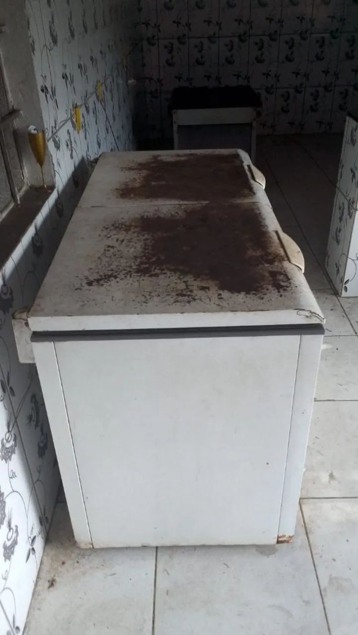 Frizer duas porta - Foto 2