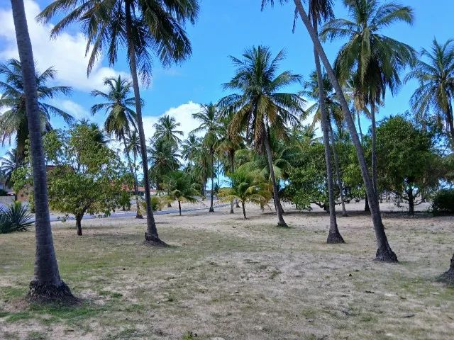 BEIRA MAR-17.500M²  C/MANSÃO  - Foto 4