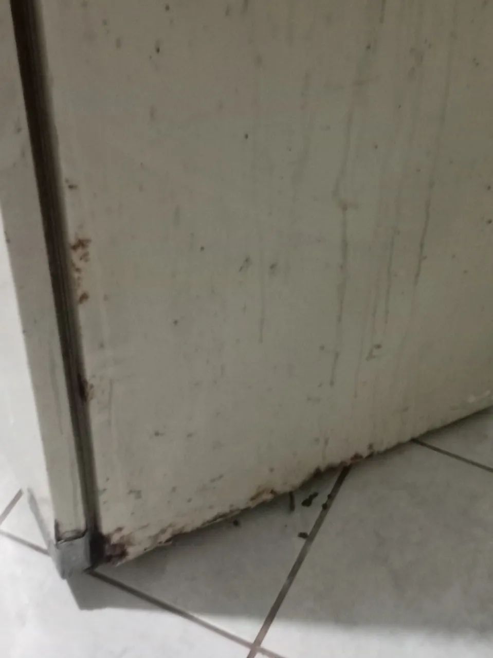 Geladeira 