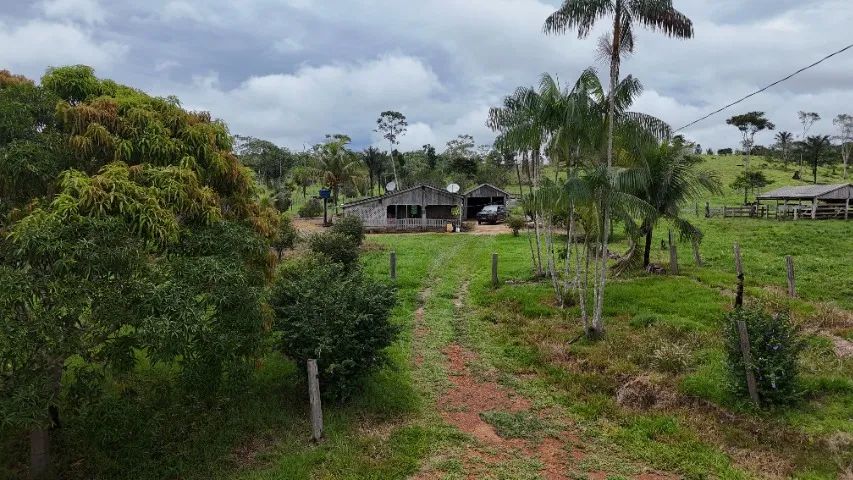 Terreno 500x1900  - Foto 2