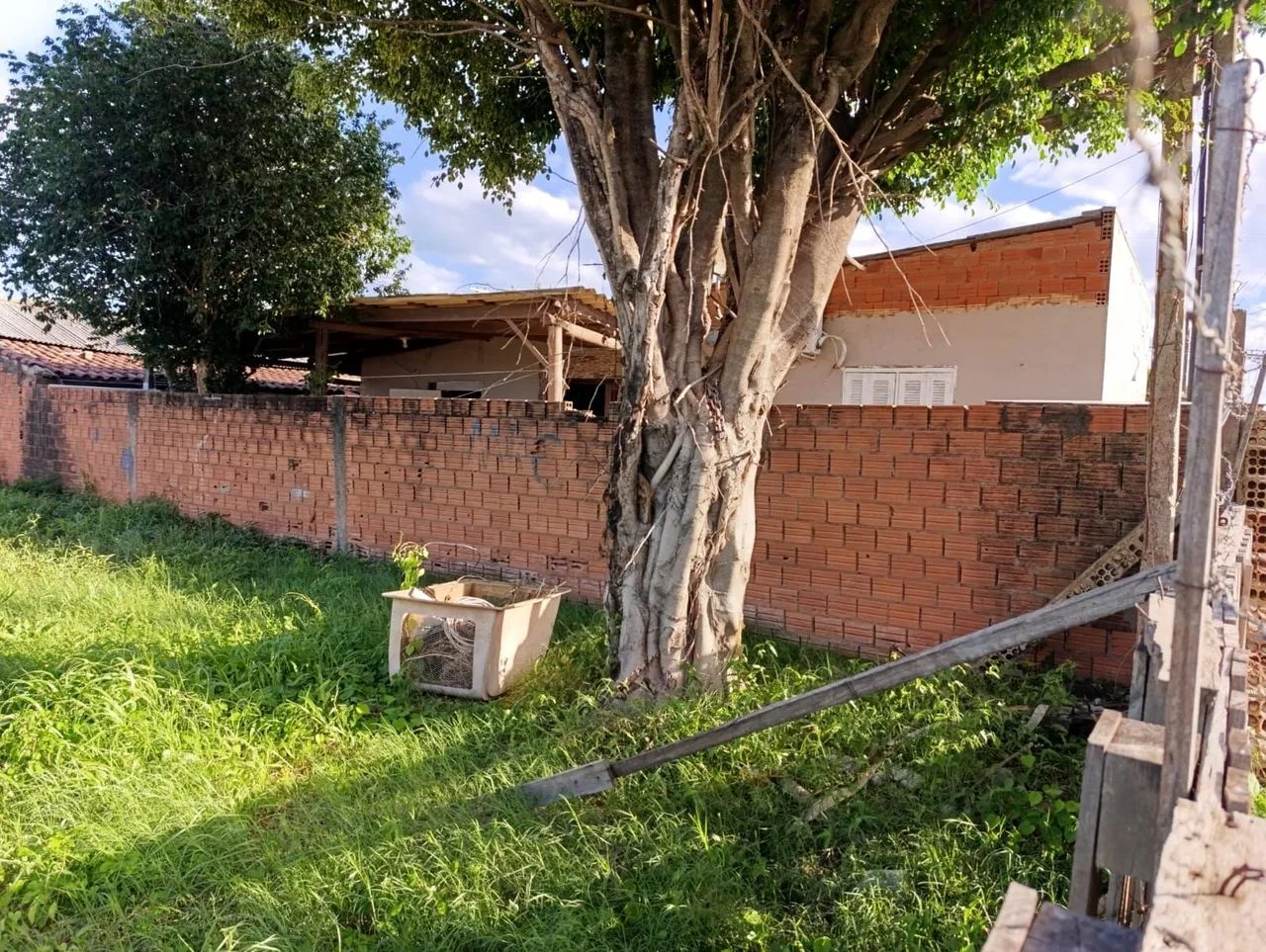 Terreno 10x30 - Foto 3