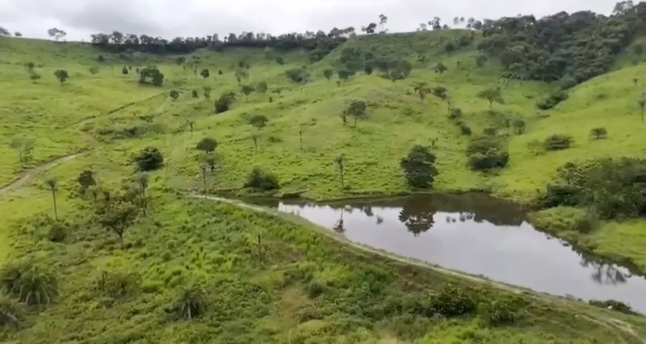 Fazenda à venda  ! 10 km da br 153 ! ? - Foto 5