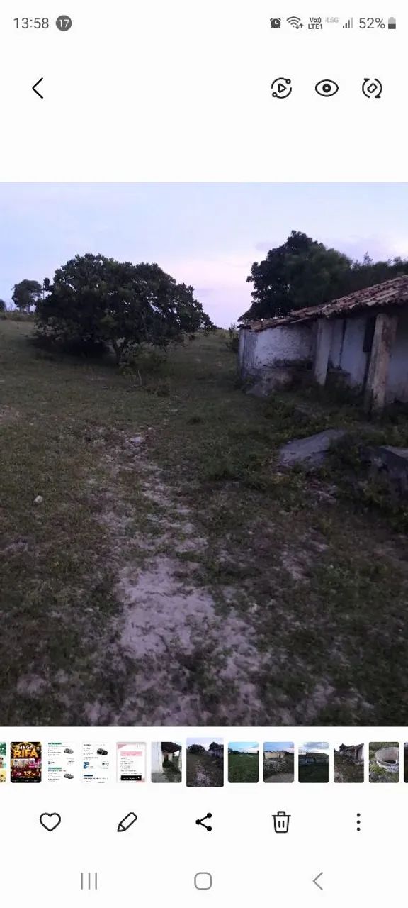 Sítio com 3 hectares - Foto 4