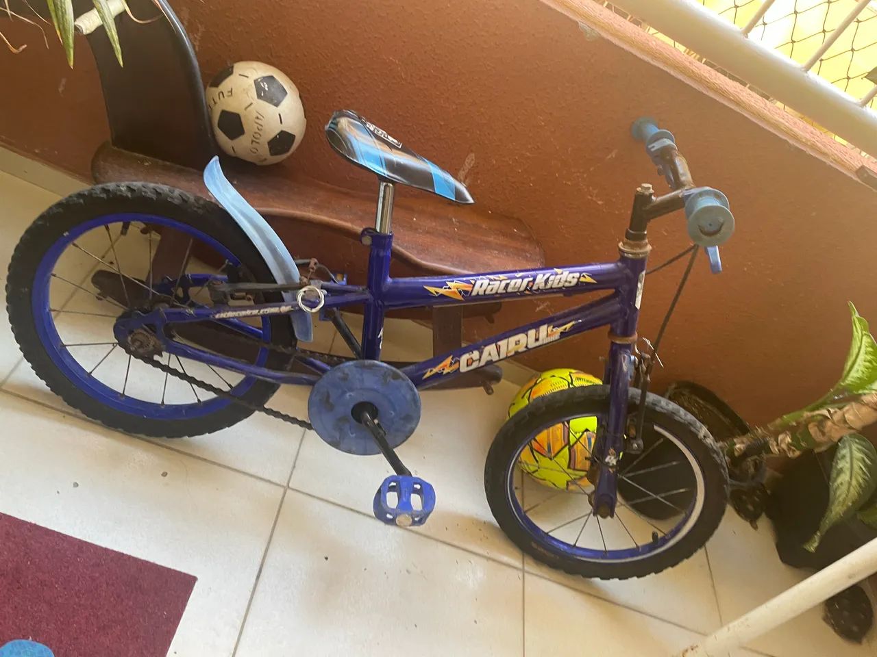 Bicicleta 