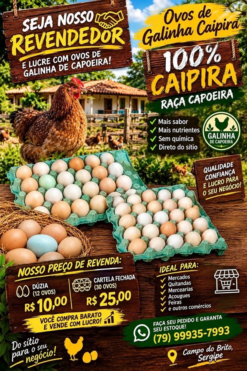 Ovos de galinha de capoeira