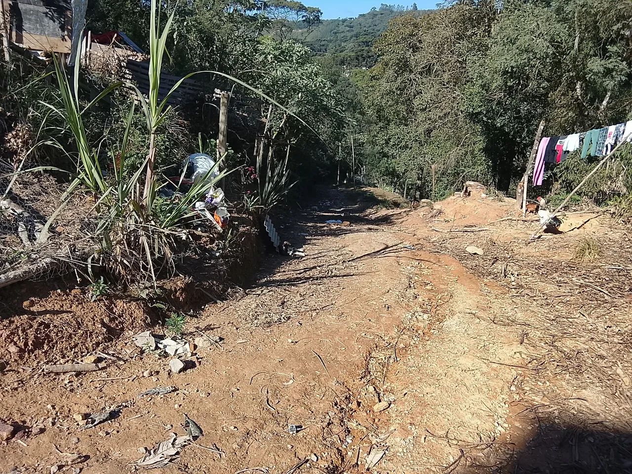 Terreno em Colombo  - Foto 5