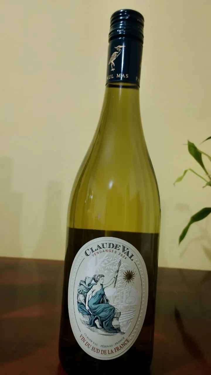 5 garrafas de vinho - Foto 2