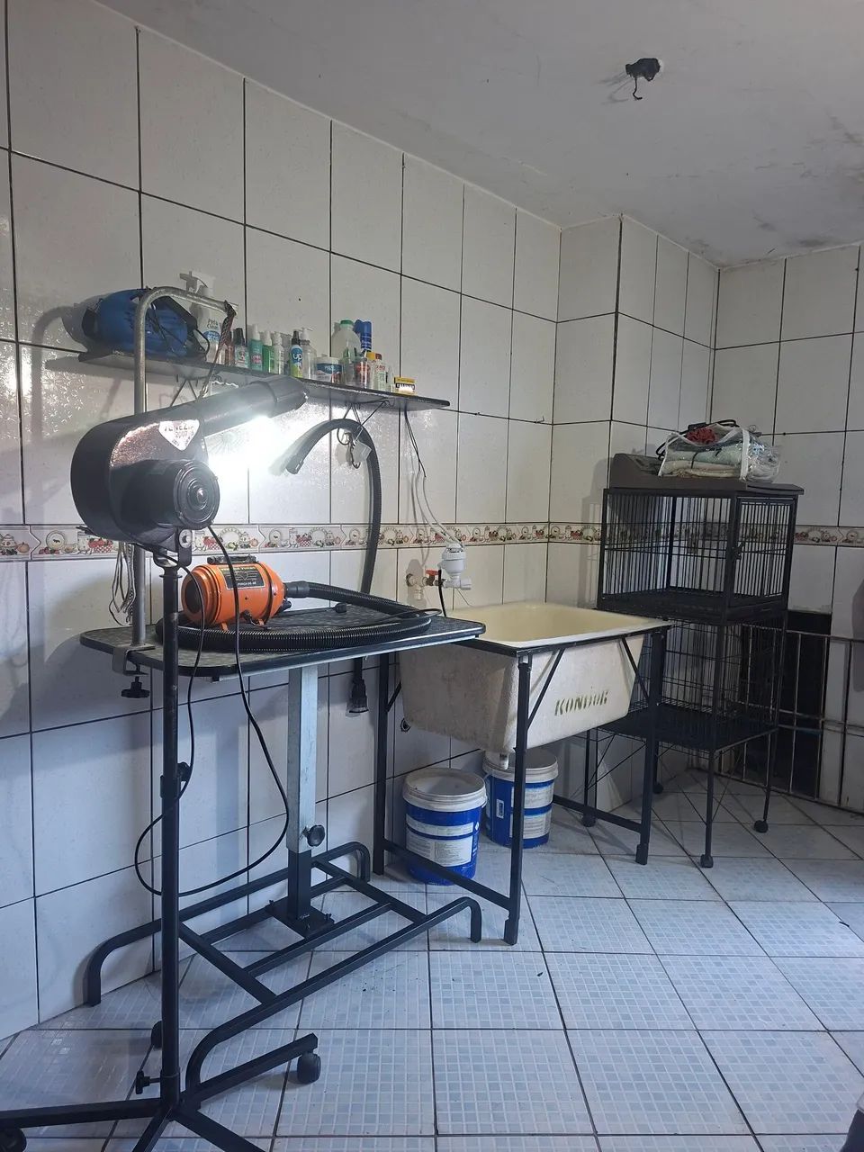 Hospedagem domiciliar para Pets - Foto 5