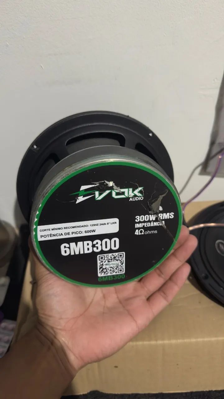 Evok 300w