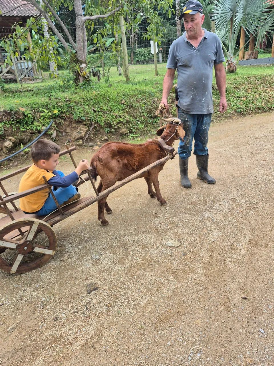 Vendo Cabrito com o carrinho - Foto 4