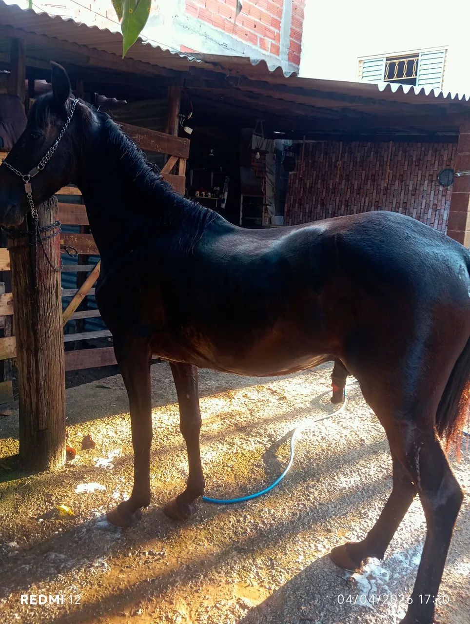 Vendo  - Foto 3