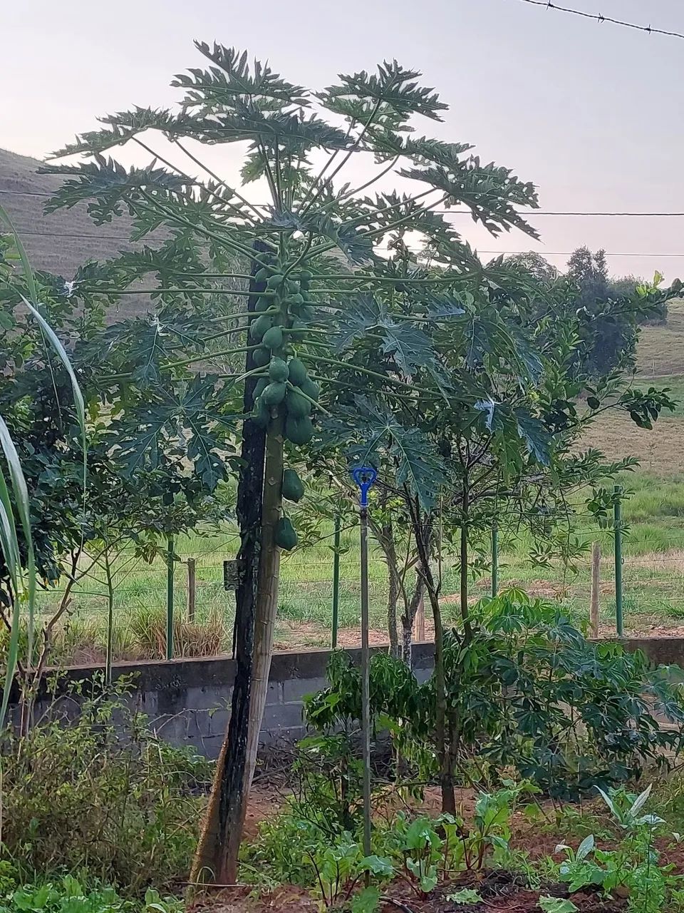 Vende terreno em itapemirim - Foto 2