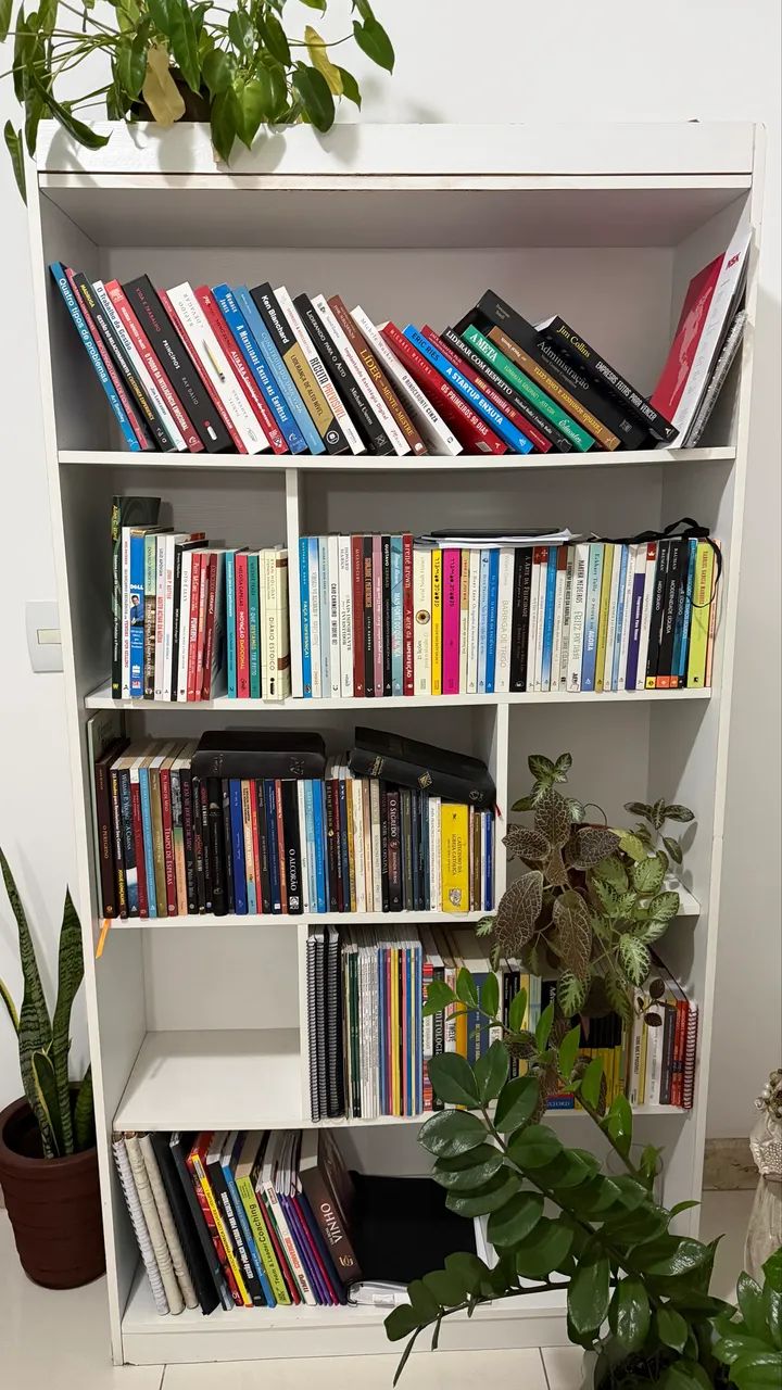 Estante de livros