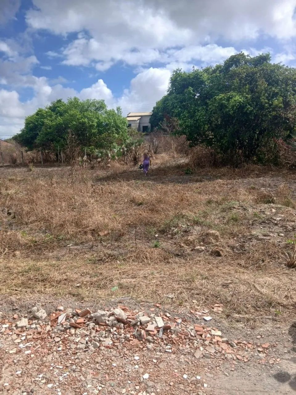 Terreno 8x25  - Foto 3