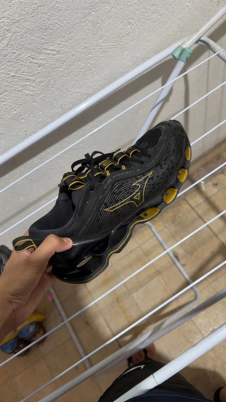 Mizuno profecy 13 