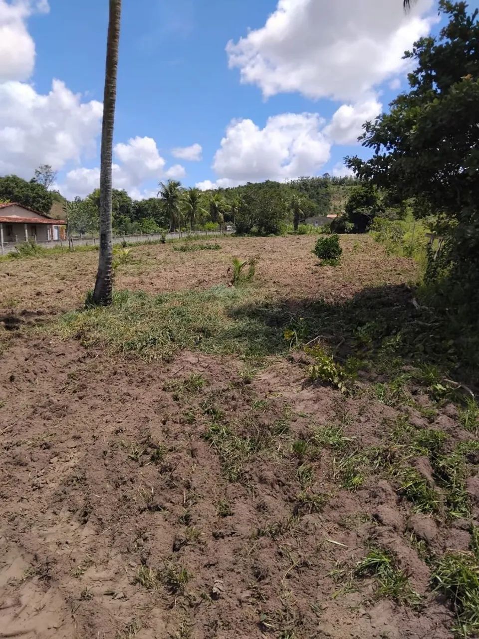 Terreno em Povoado Lagoão, Salgado em Sergipe  - Foto 2