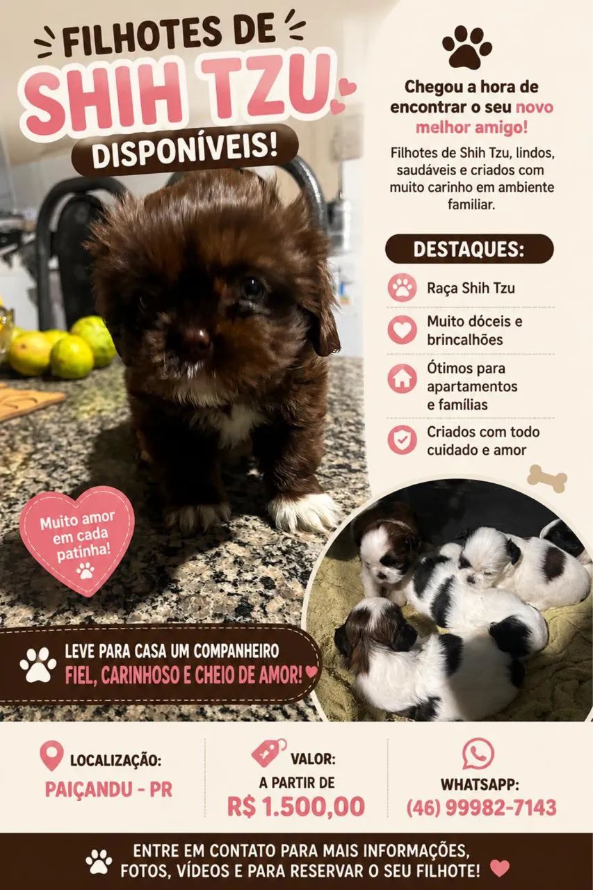 Shih-tzu