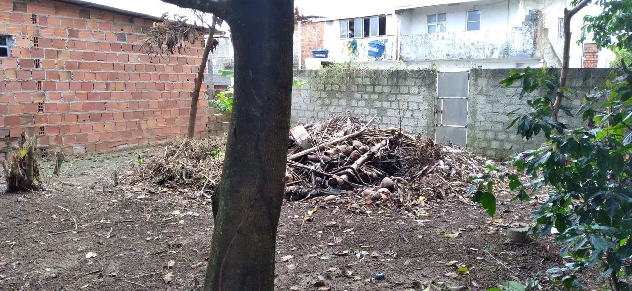 Terreno  - Foto 2