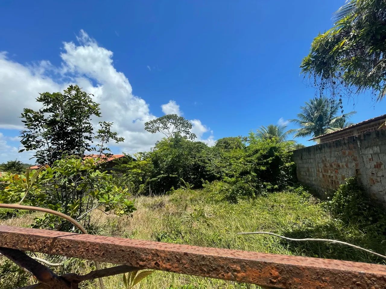 Terreno Jacumã,  450m2, murado e escriturado - Foto 3