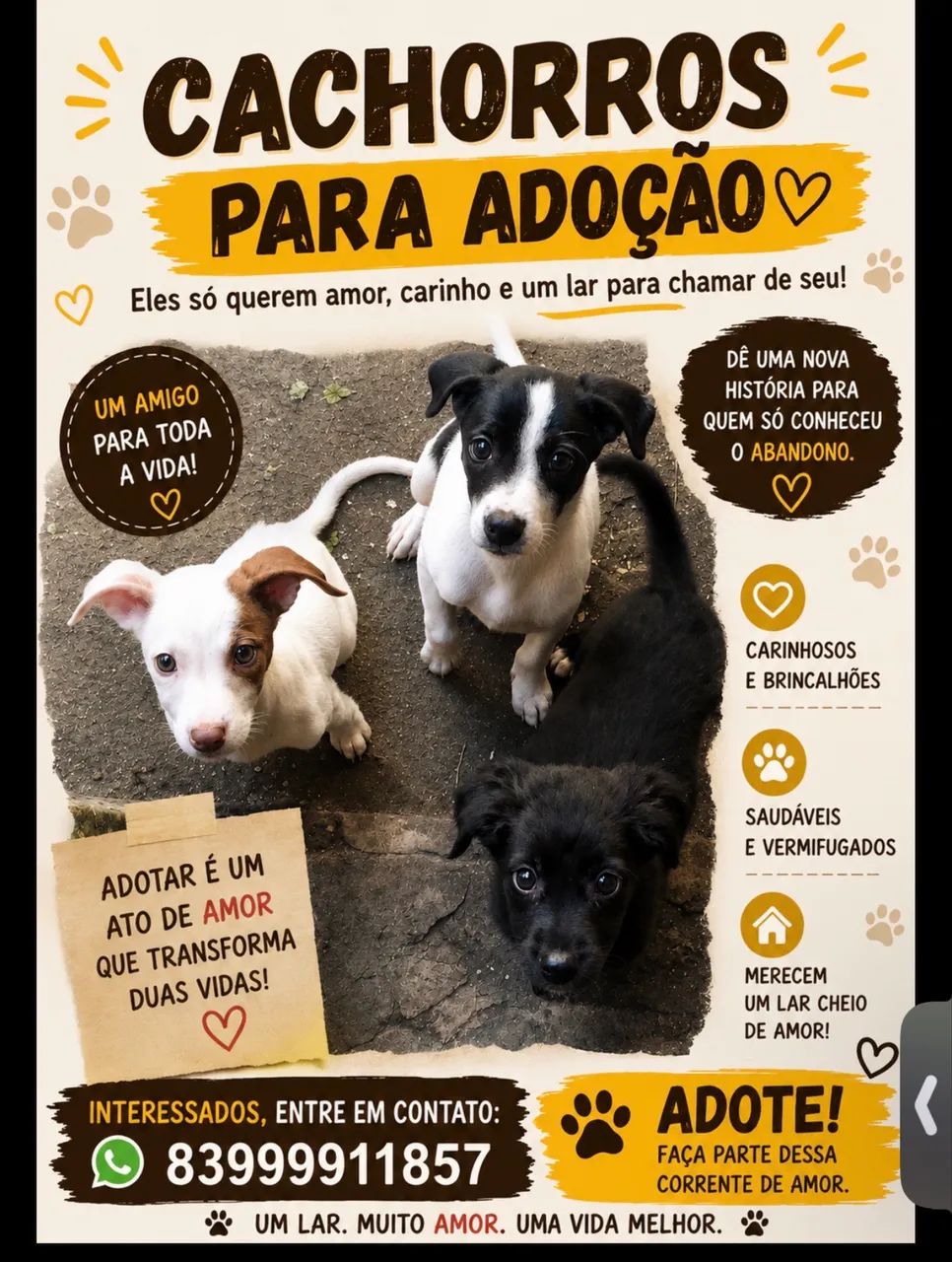Adoção 