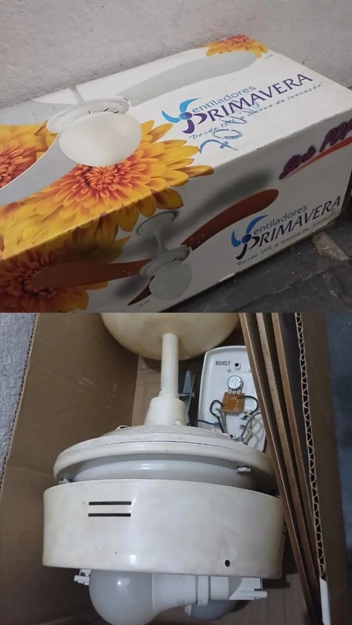 Ventilador de teto 