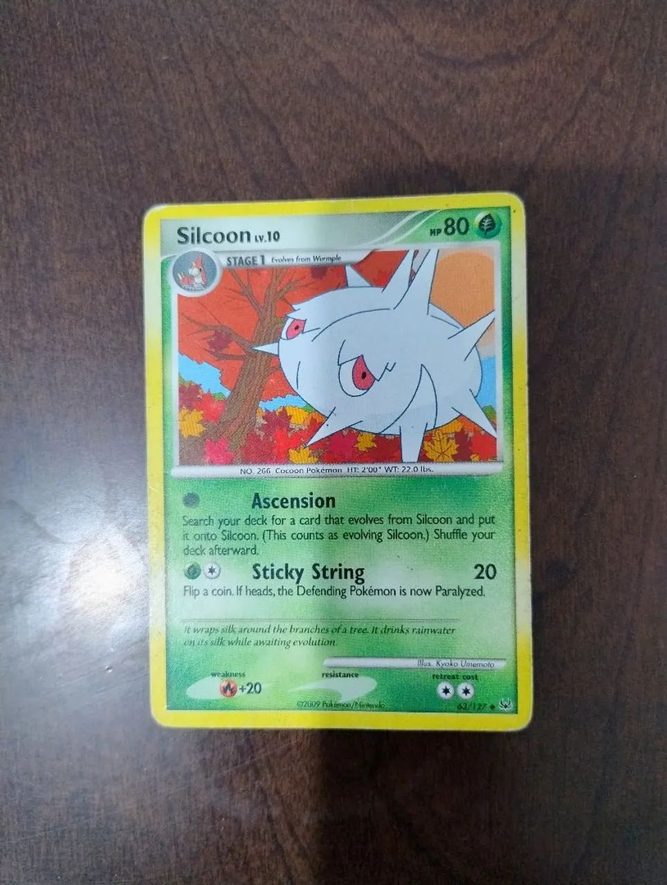 Silcoon 63/127 - usado