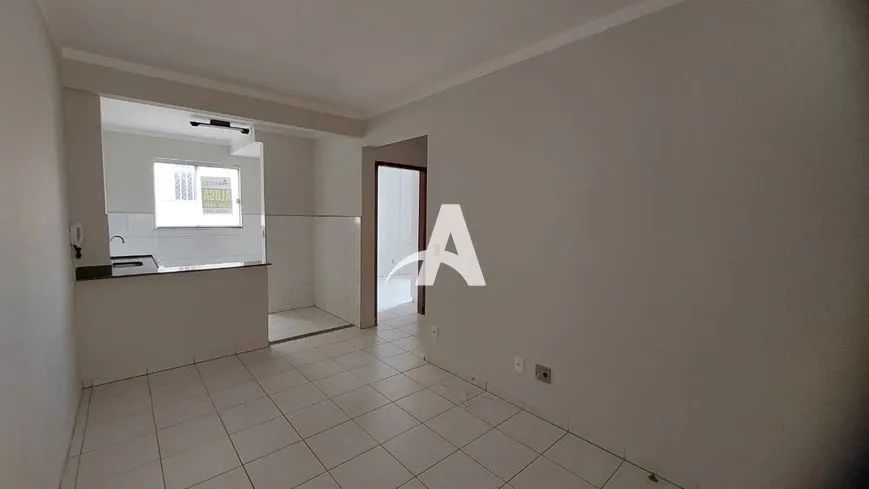 Aluguel Apartamento FINOTTI - Foto 2