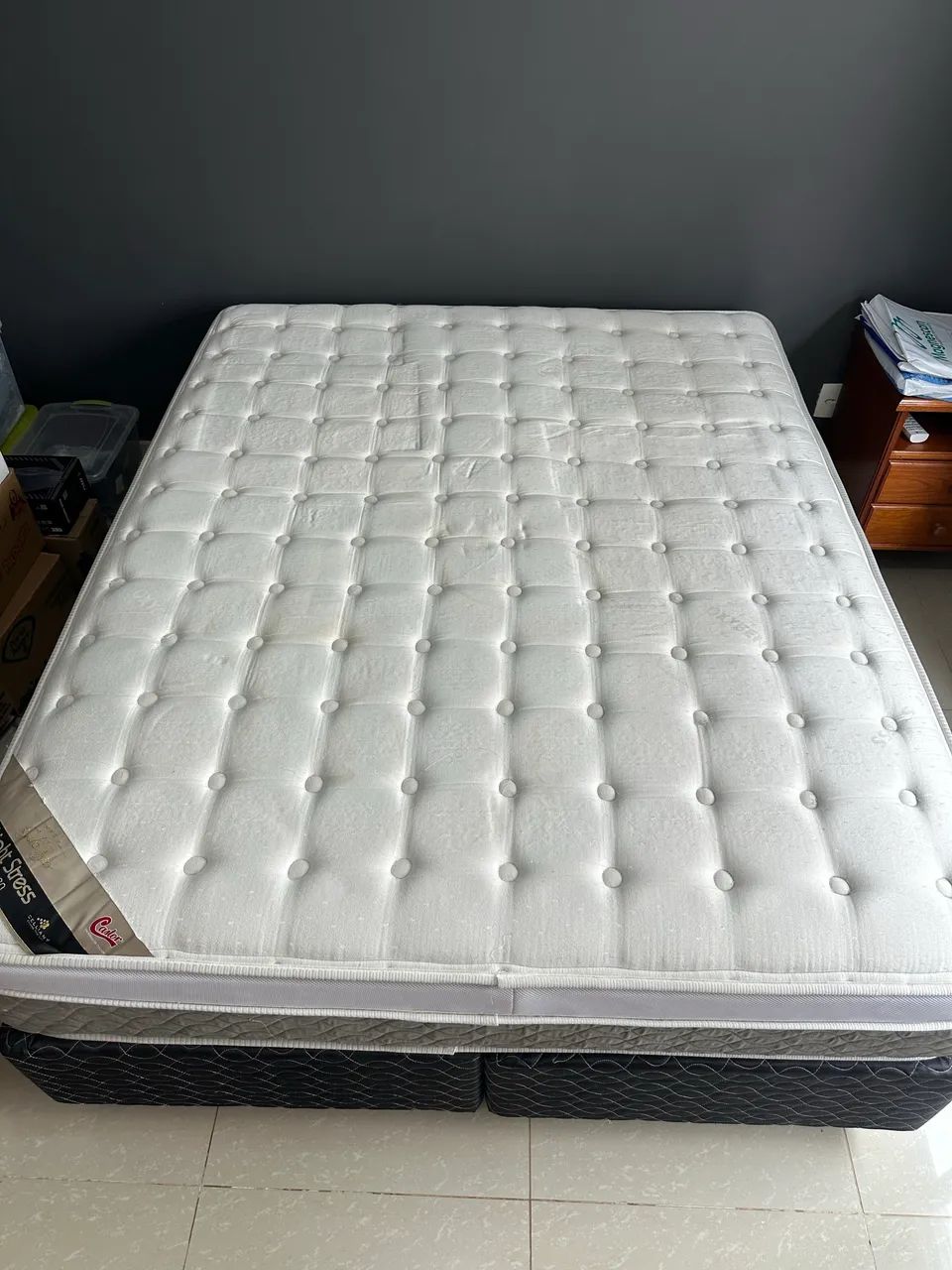 Cama box Queen Castor