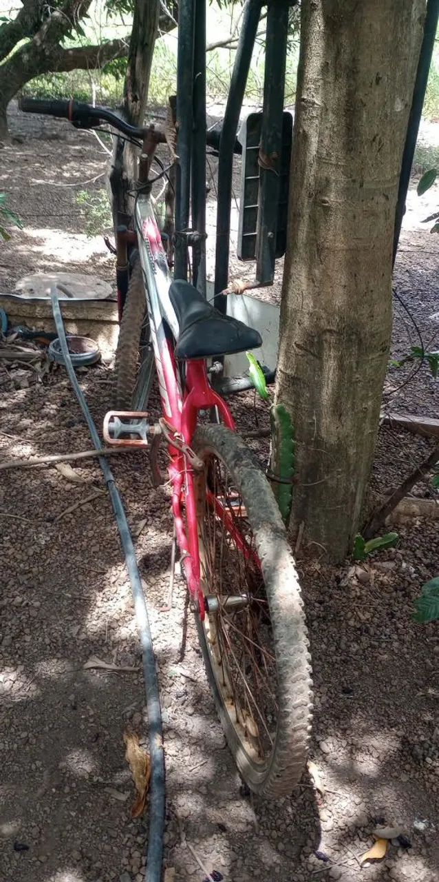 Bicicletas  - Foto 5