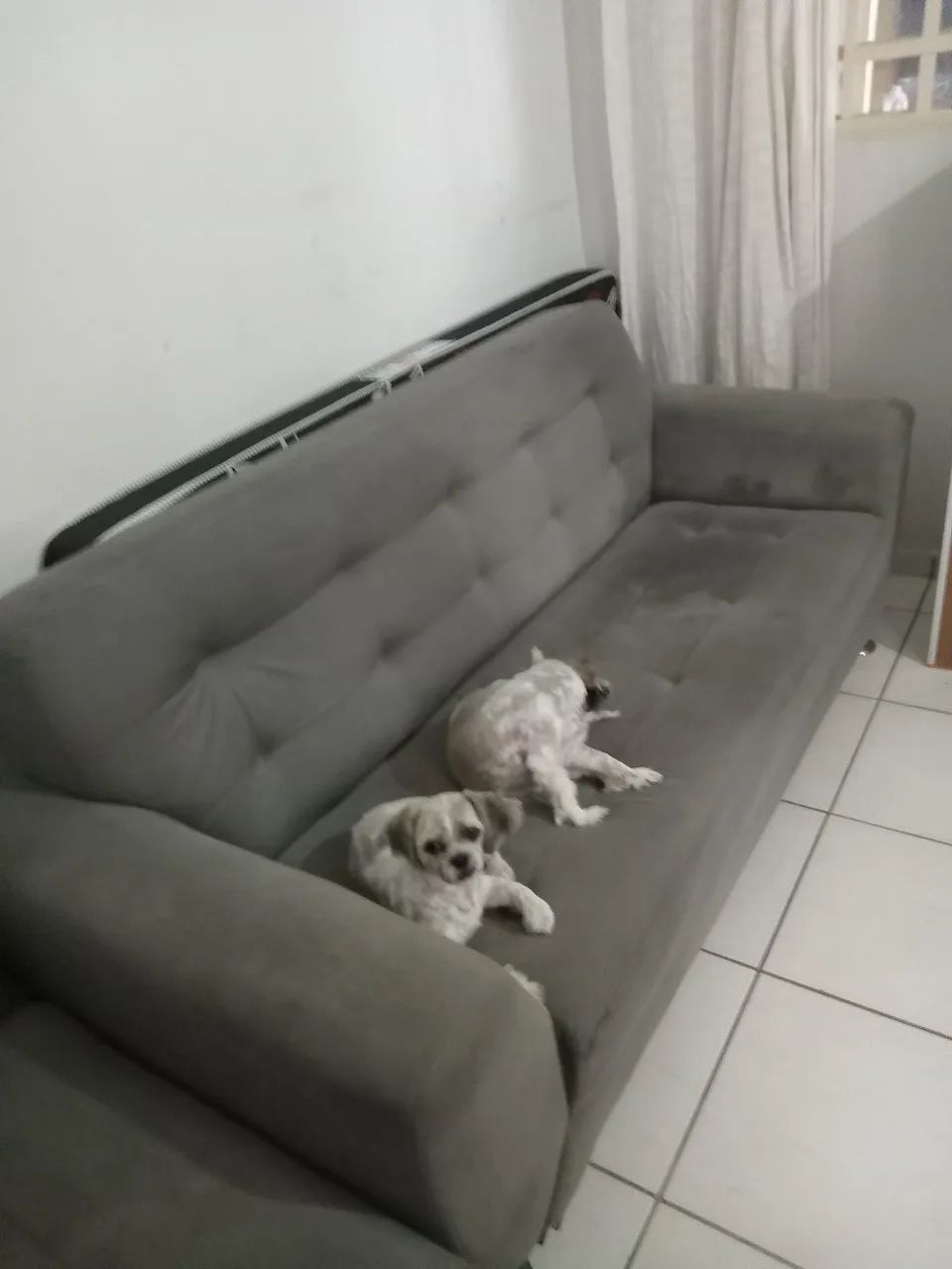 Sofa 2 e 3 lugares usado bom zap * - Foto 3