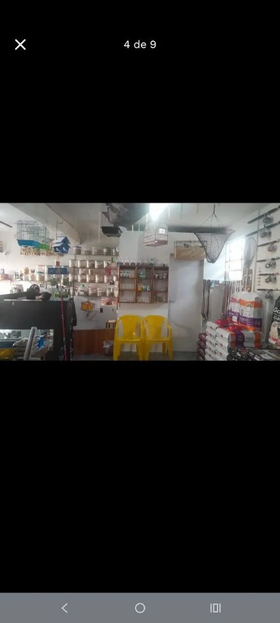 Agropecuária completa - Foto 4