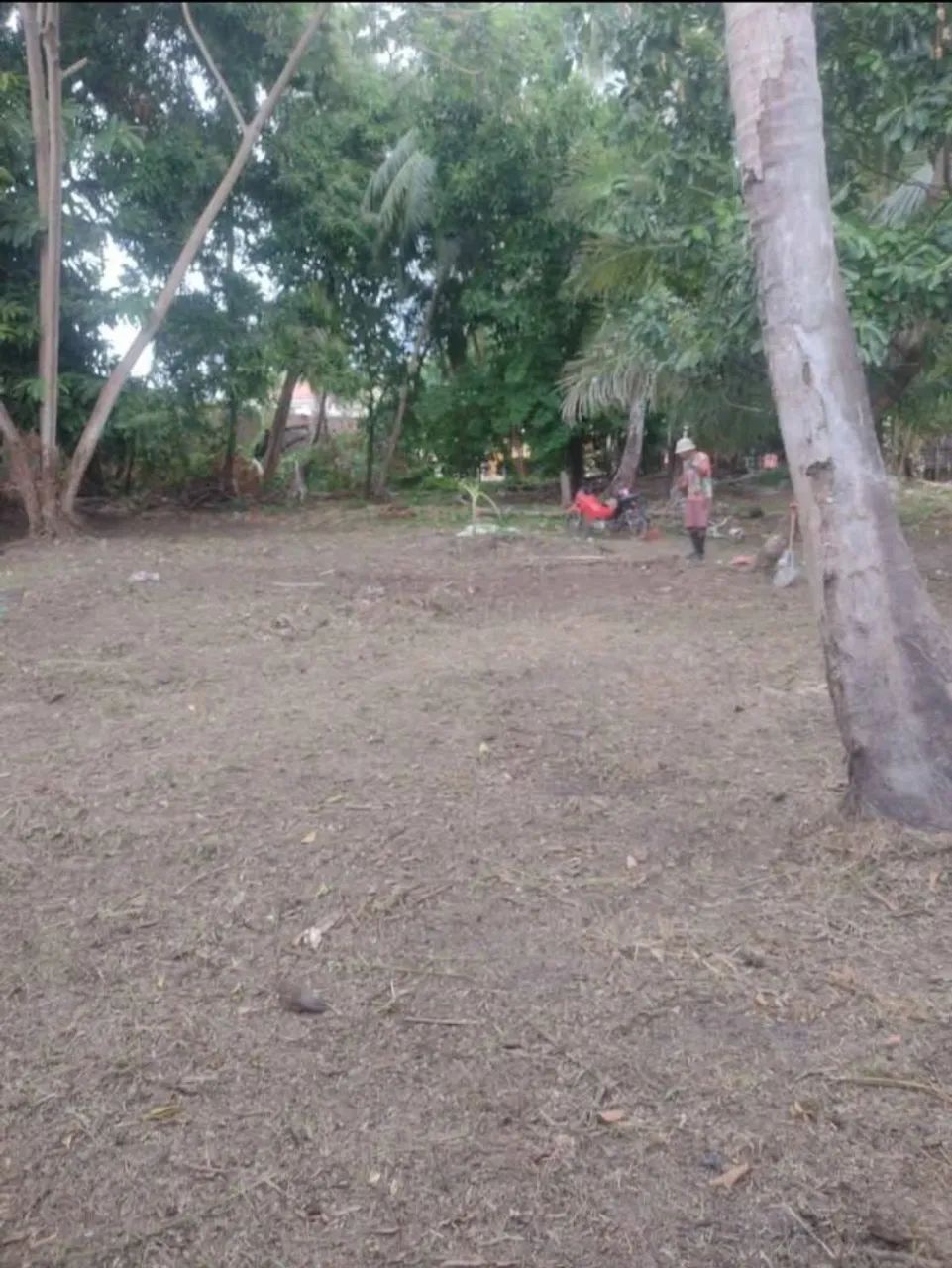 Terreno em Soure/PA - Foto 4
