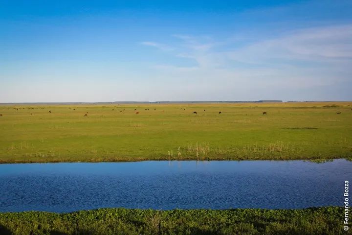 Foto - Rio Grande - Ilha dos Marinheiros