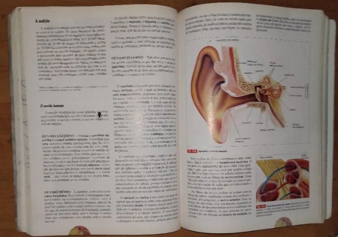 Livro Biologia - Volume Único - 9ª ed. revista e atualizada - Scipione - Foto 3