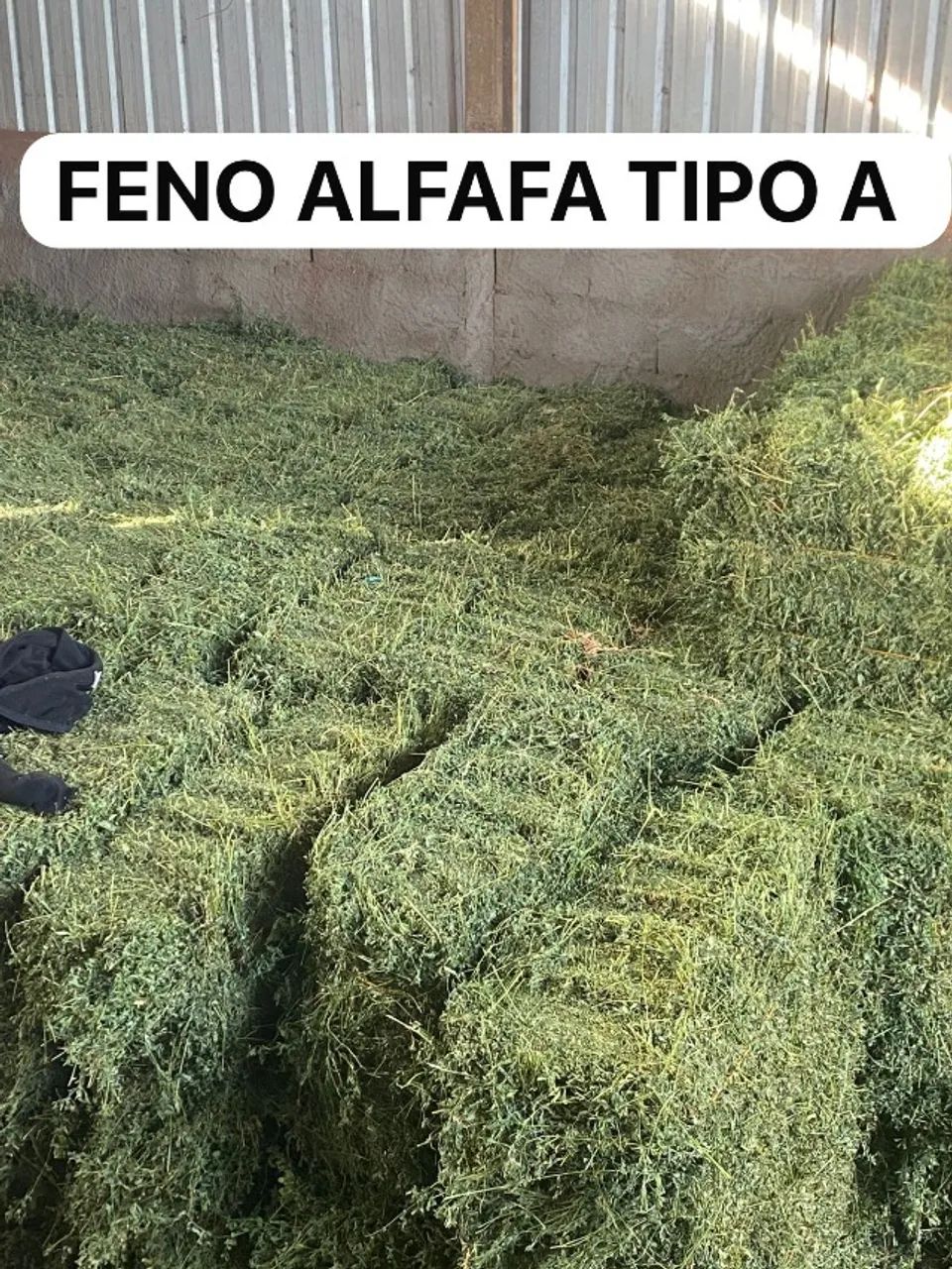 FENO ALFAFA TIPO A - Foto 4