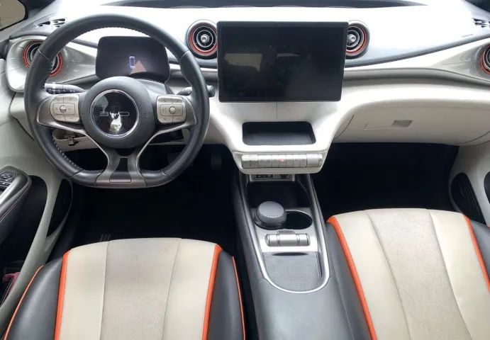 BYD Dolphin EV (Elétrico) 2024 - Foto 5