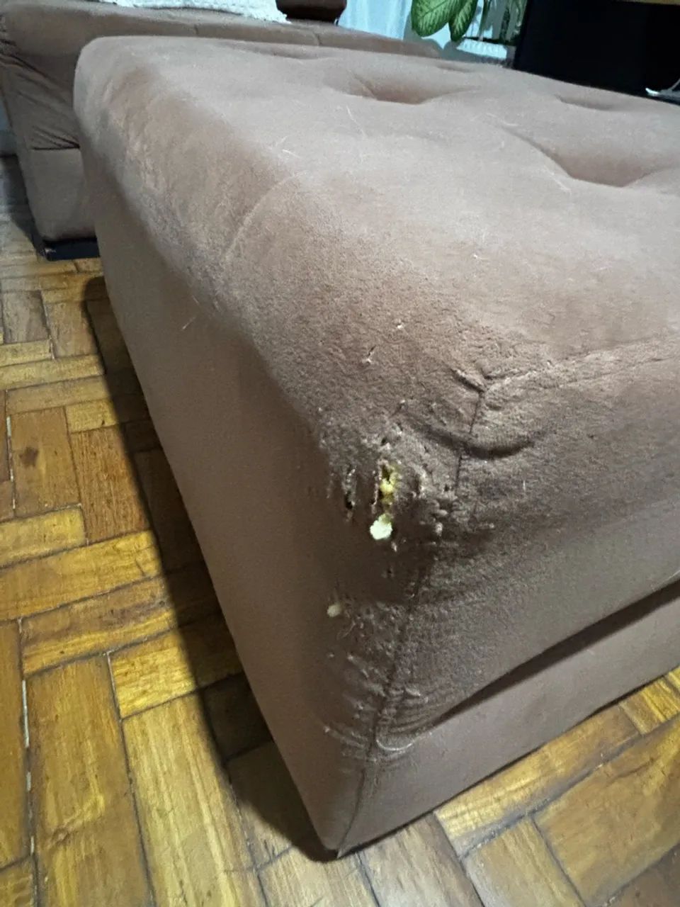 Sofá Modulado - R$750 - Foto 3