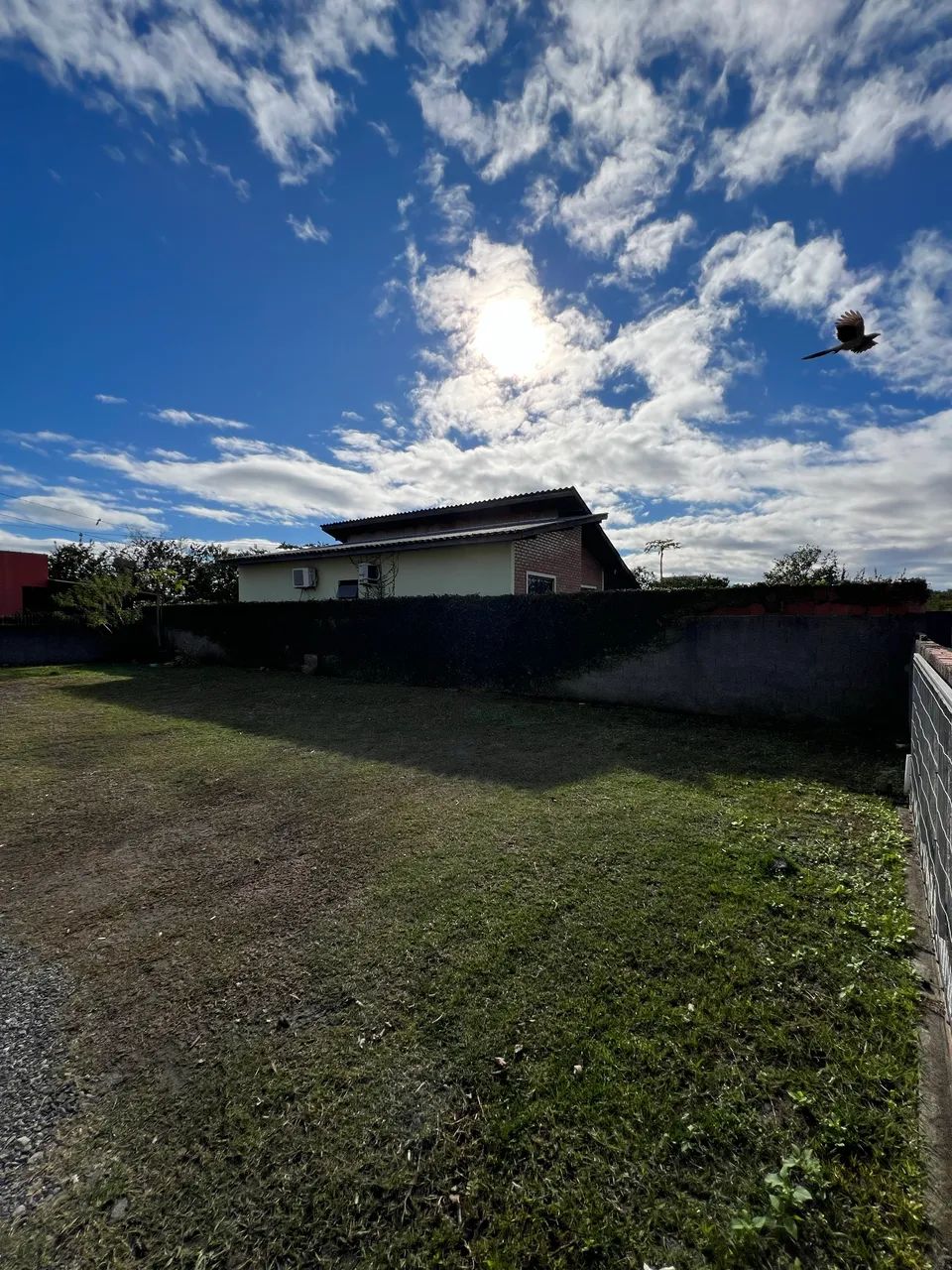 Terreno plano, murado, aterrado, pronto para construir, Ribeirão  - Foto 3
