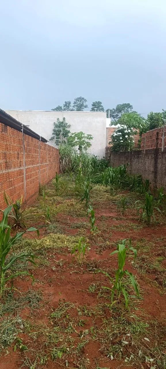 Foto - Araçatuba - Alvorada