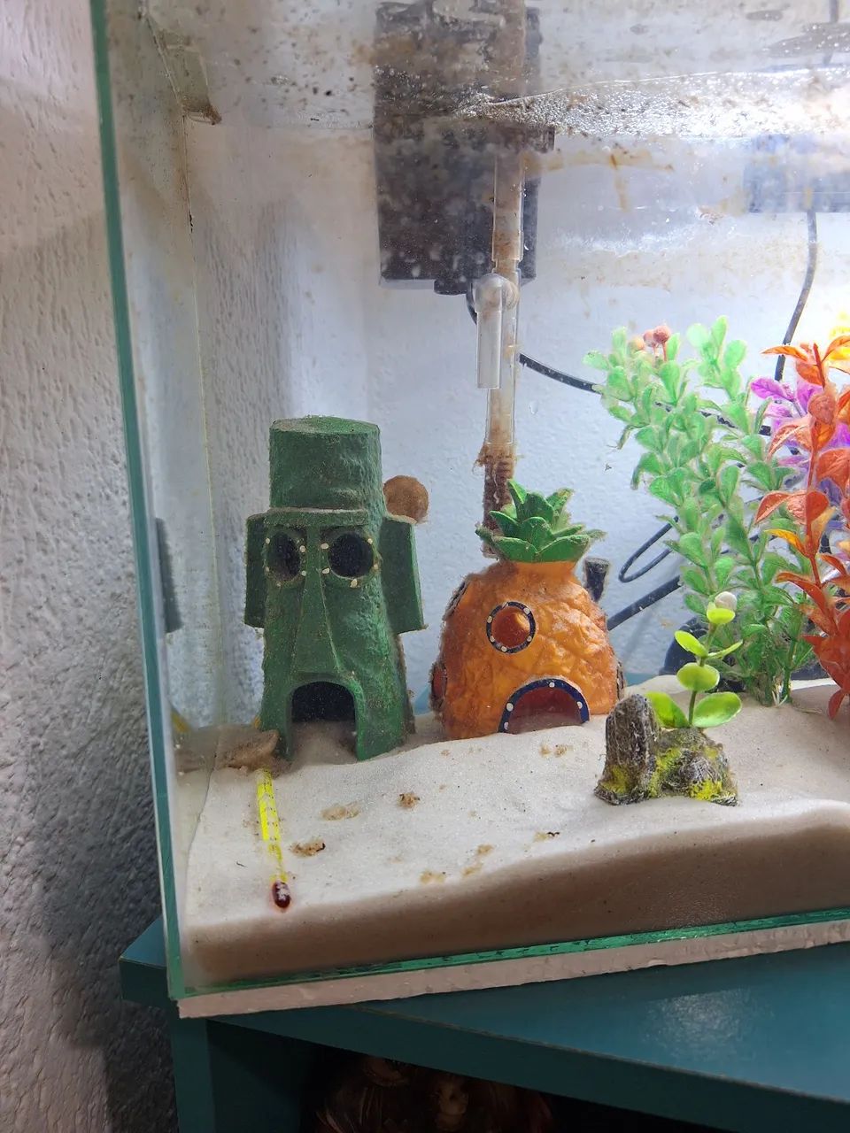 Aquario  - Foto 2