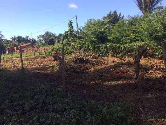 Terreno em Bacabeira  - Foto 3