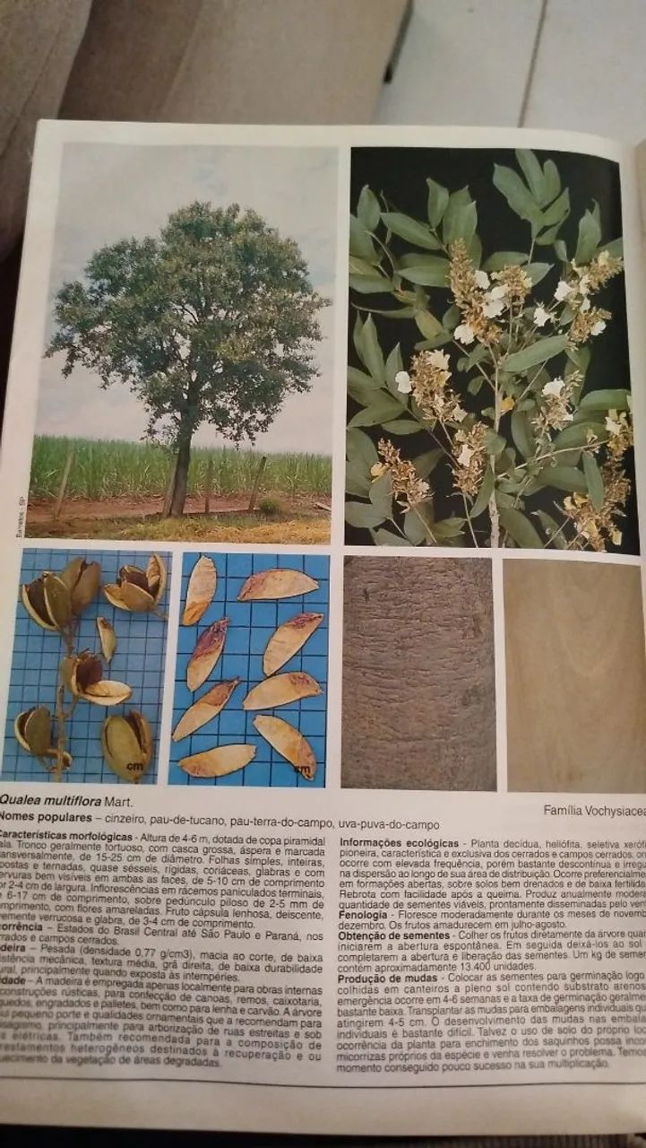 Livro  - Foto 2