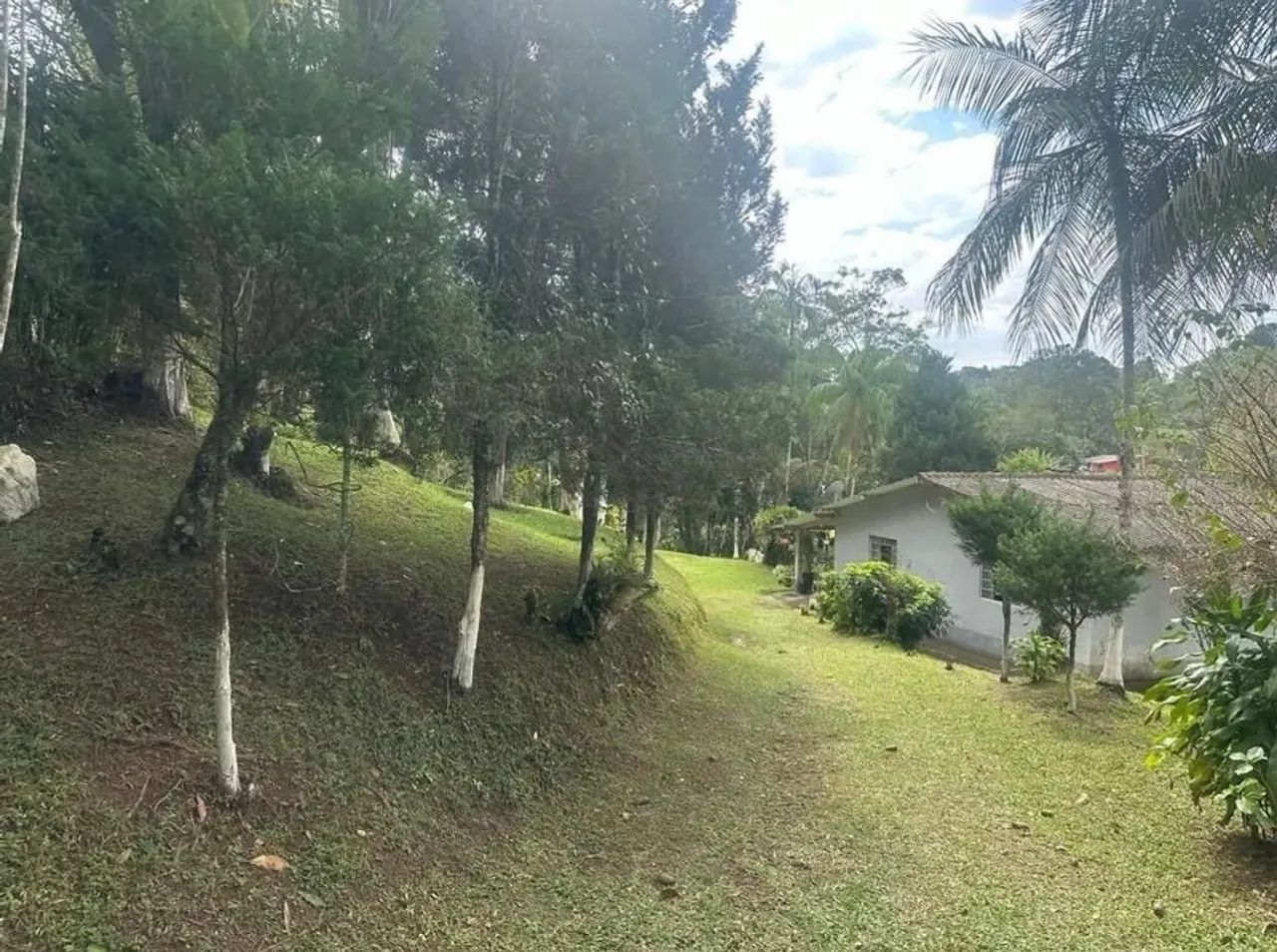 Chácara com 2 dormitórios à venda, 24000 m² por R$ 445.000 - Botujuru - Mogi das Cruzes/SP - Foto 2