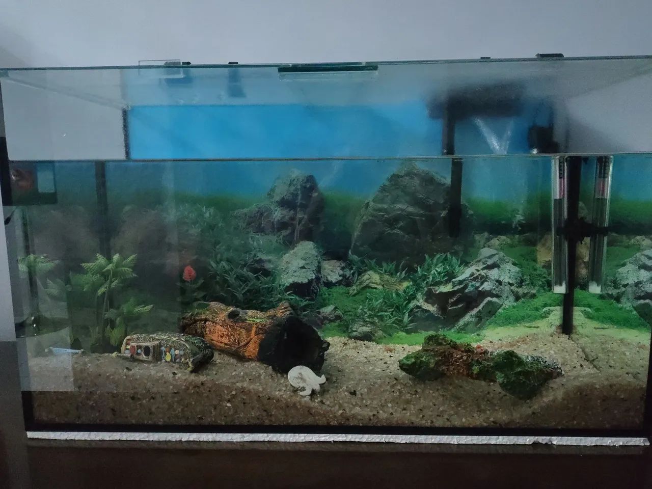 Aquário para peixes de 70 litros.