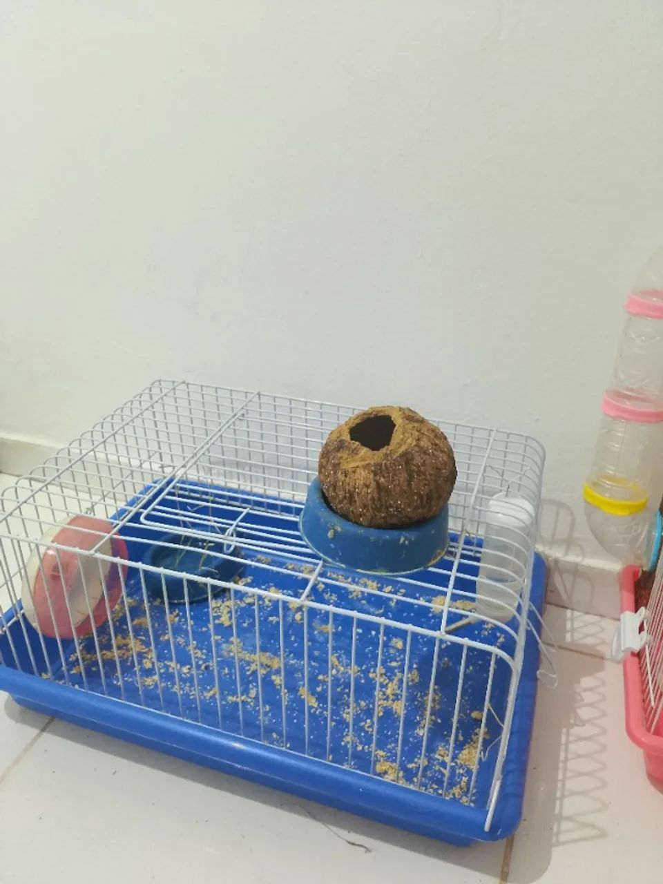 Duas (2) Gaiola para hamster ou porquinho da índia   - Foto 3