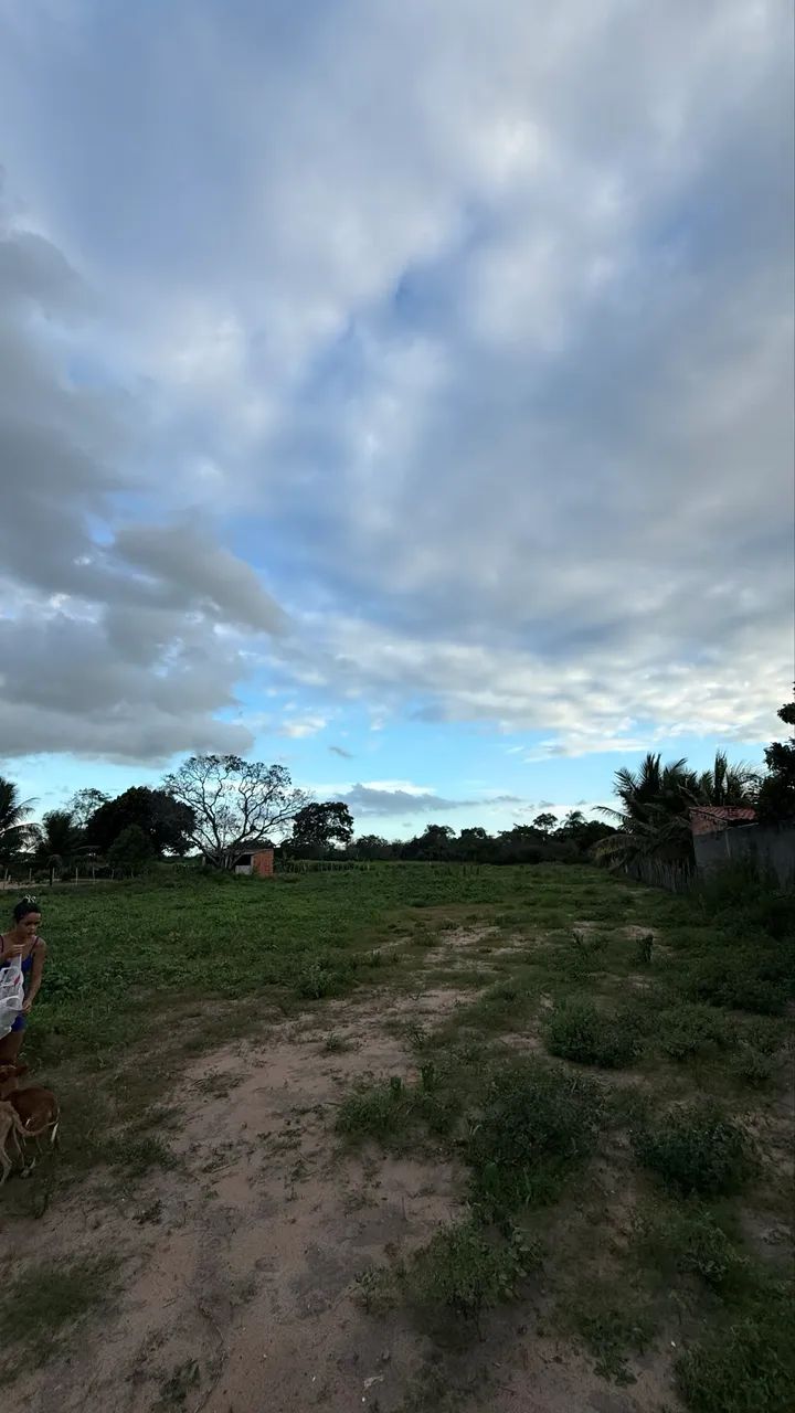 Foto - Feira de Santana - Lagoa Salgada