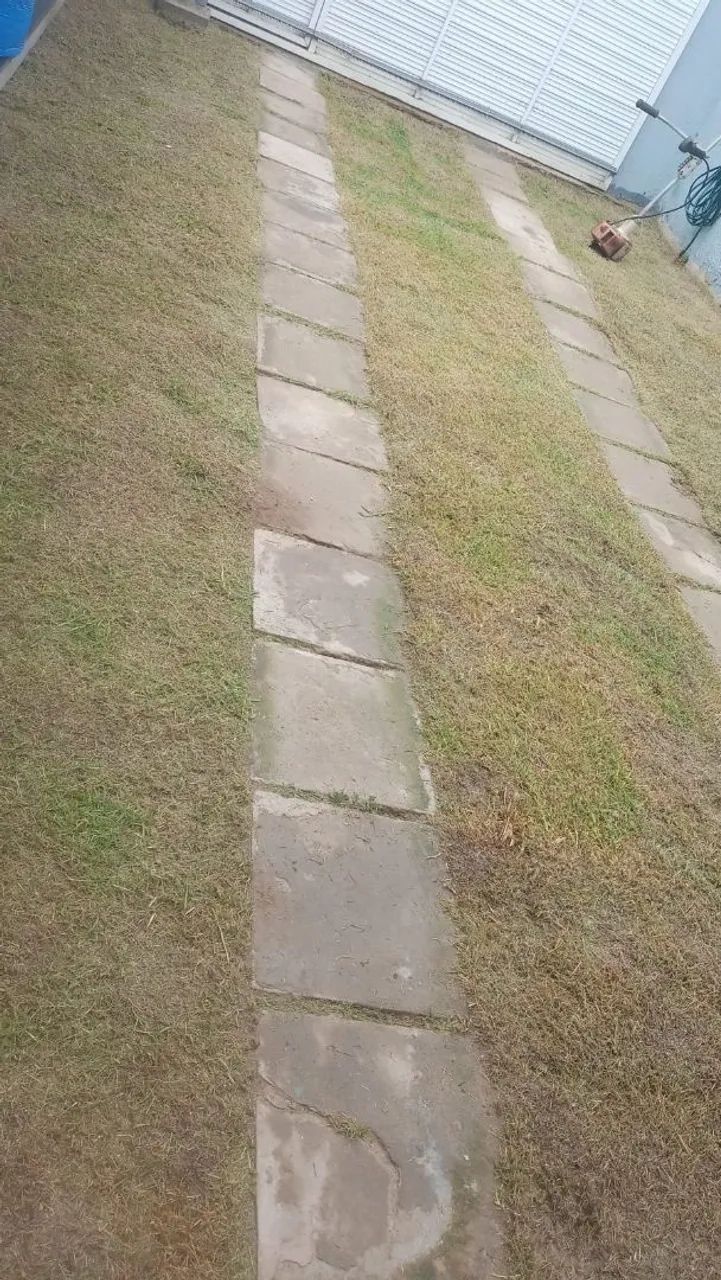 Jardinagem e paisagismo  - Foto 3